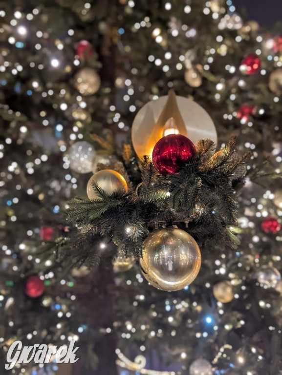 Zimowa gwiazdka i Power of Wings