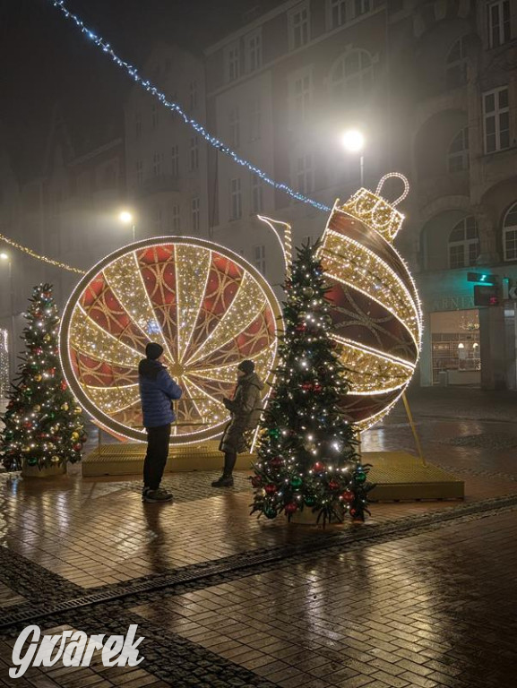 Zimowa gwiazdka i Power of Wings