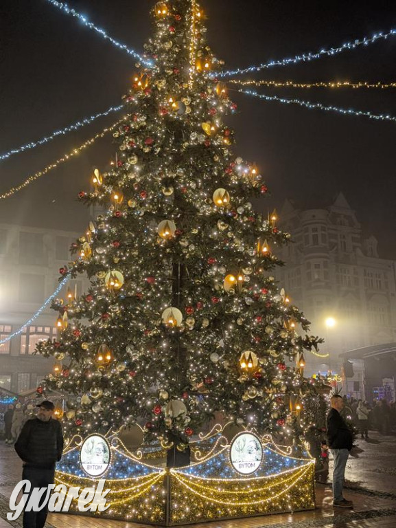 Zimowa gwiazdka i Power of Wings