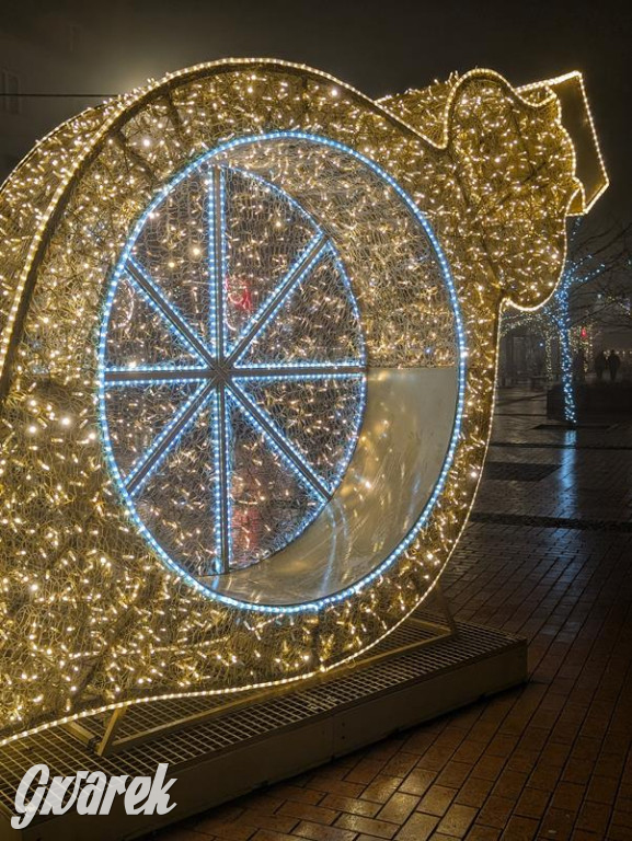 Zimowa gwiazdka i Power of Wings