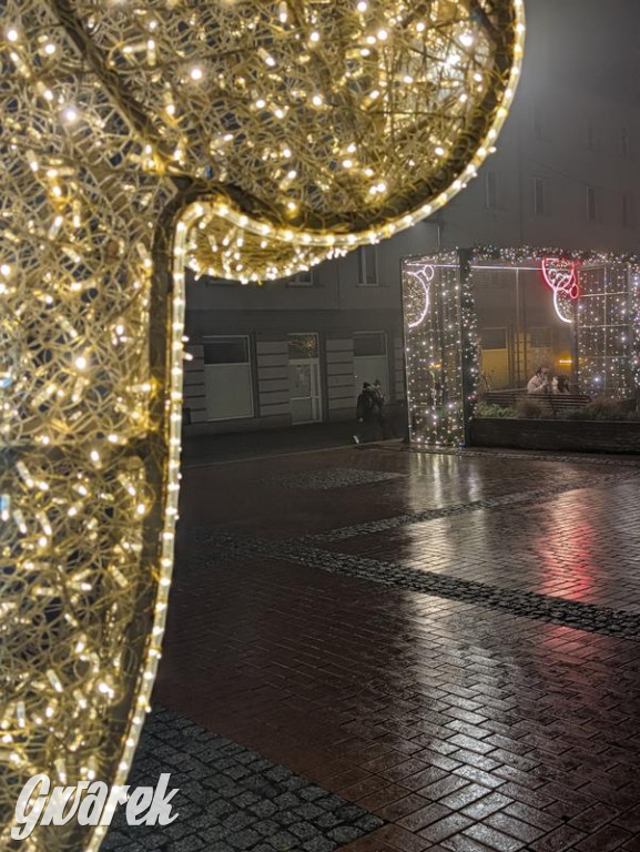 Zimowa gwiazdka i Power of Wings