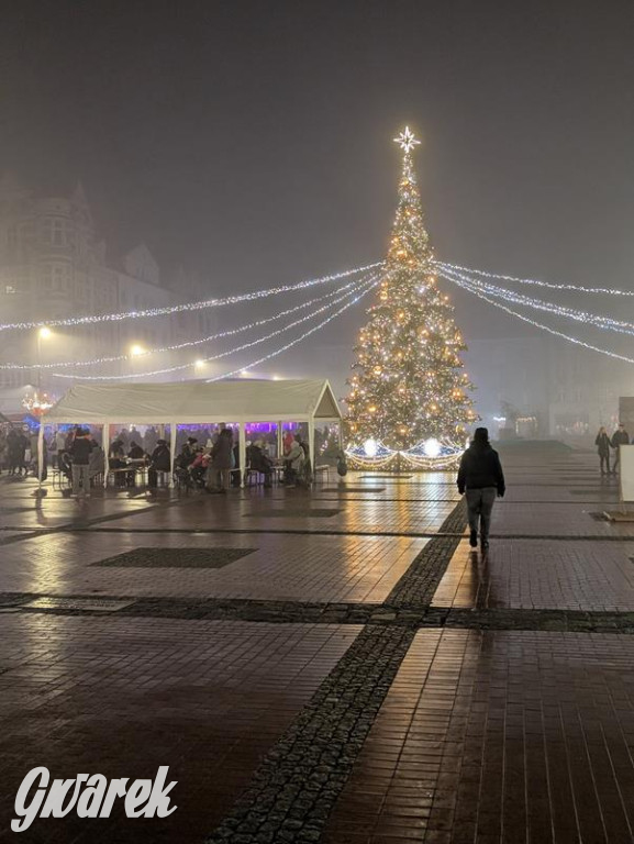 Zimowa gwiazdka i Power of Wings