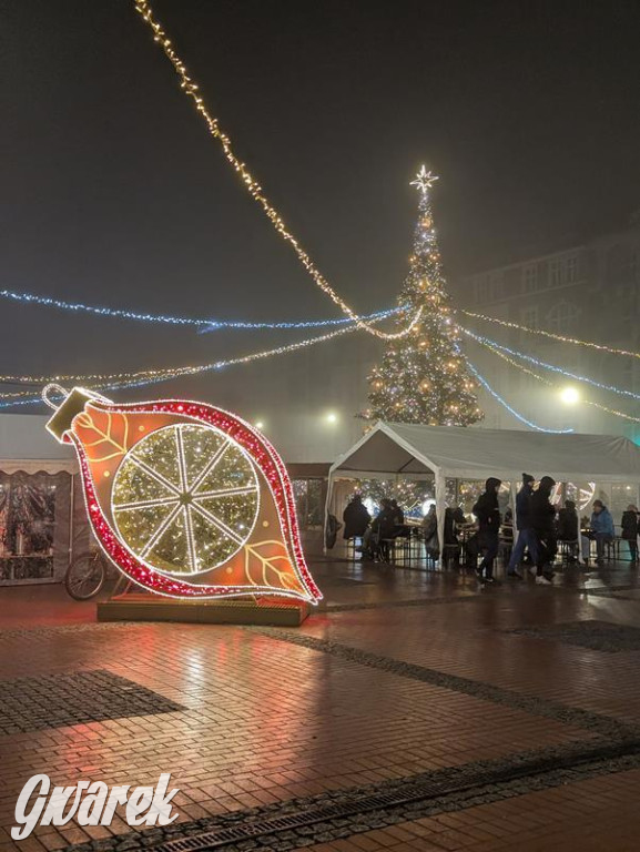 Zimowa gwiazdka i Power of Wings