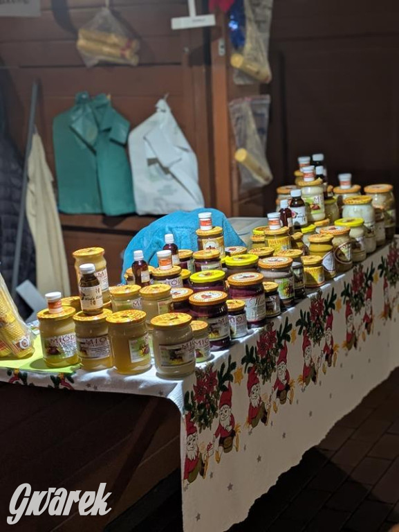 Zimowa gwiazdka i Power of Wings