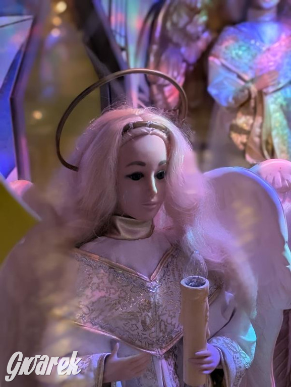 Zimowa gwiazdka i Power of Wings