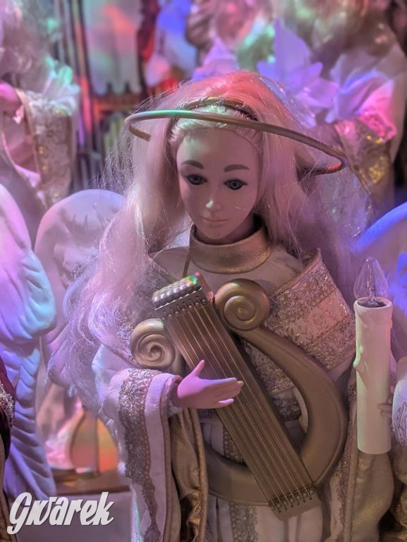 Zimowa gwiazdka i Power of Wings