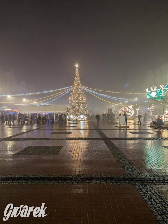 Zimowa gwiazdka i Power of Wings