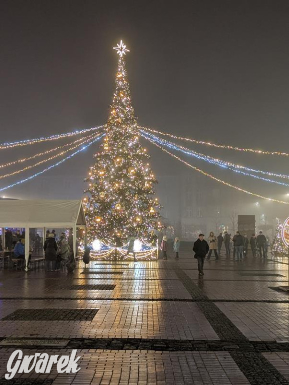 Zimowa gwiazdka i Power of Wings