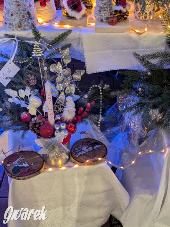 Zimowa gwiazdka i Power of Wings