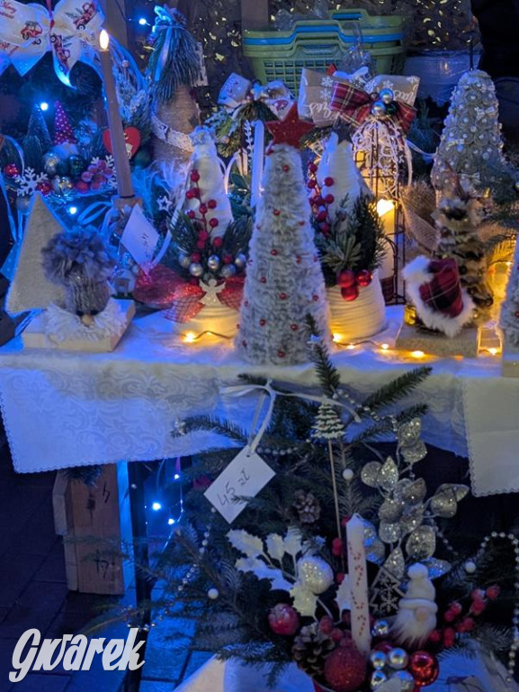 Zimowa gwiazdka i Power of Wings