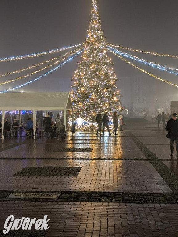 Zimowa gwiazdka i Power of Wings