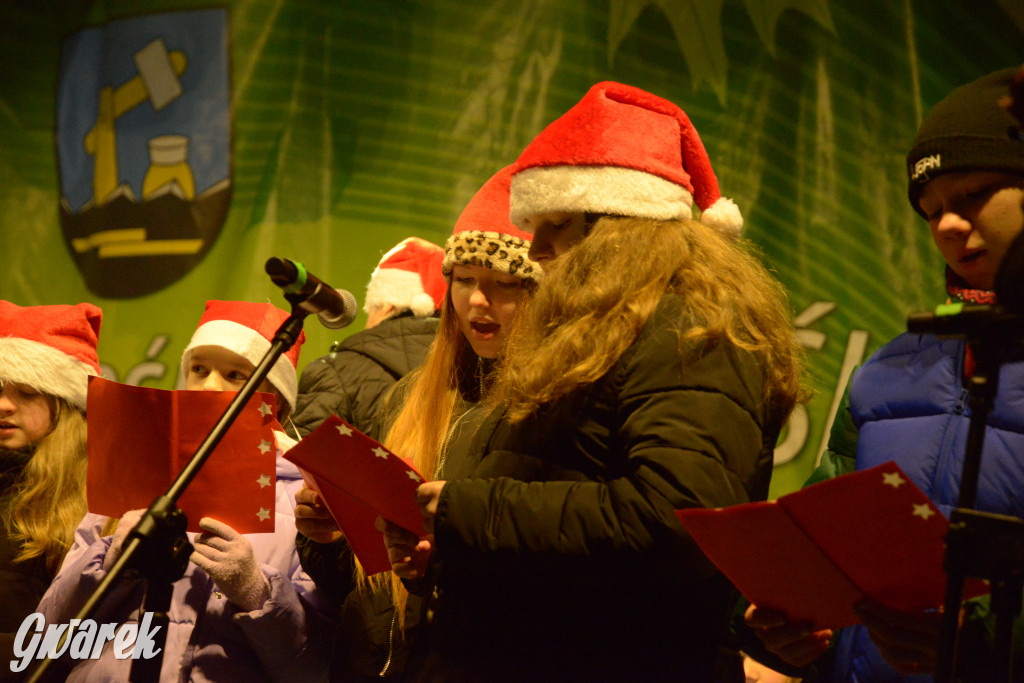 Jarmark w Kaletach przyciągnął tłumy