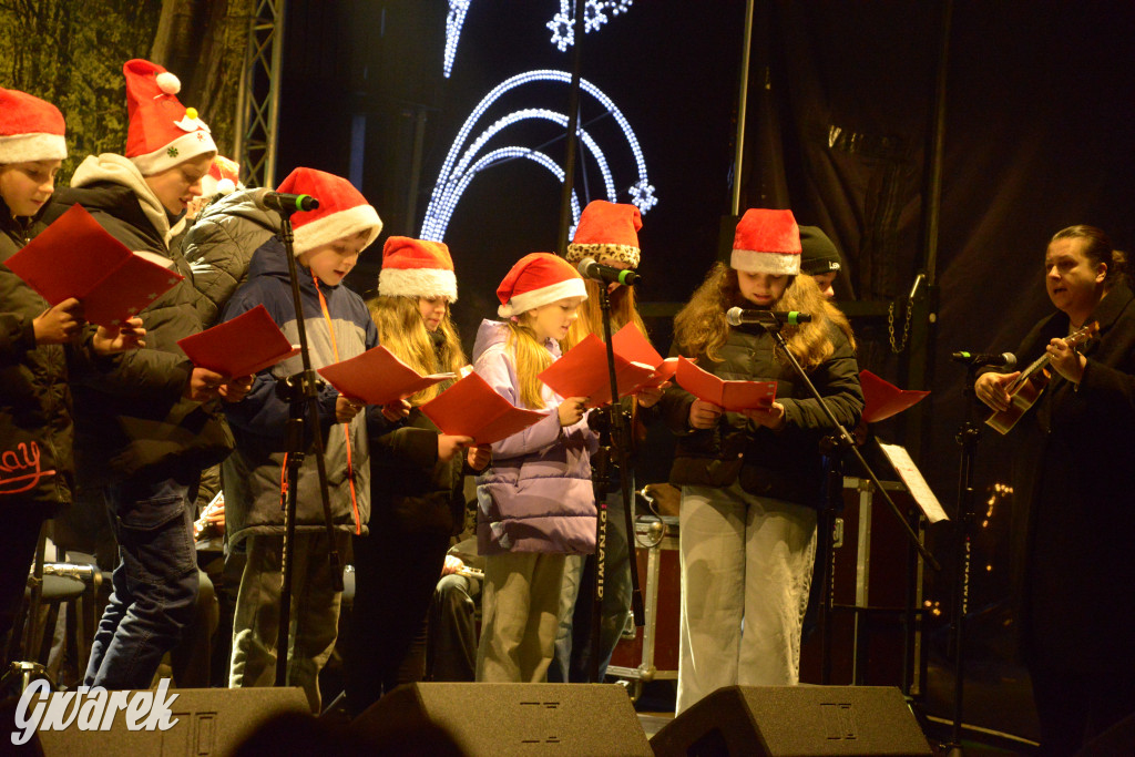 Jarmark w Kaletach przyciągnął tłumy