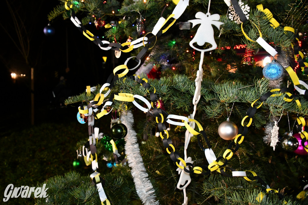 Przednia świąteczna zabawa w Bobrownikach Śląskich