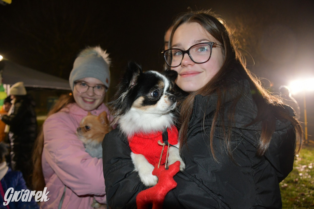 Przednia świąteczna zabawa w Bobrownikach Śląskich