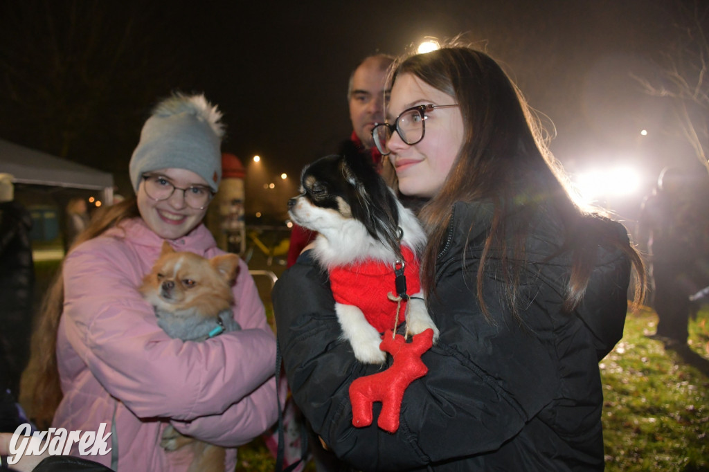 Przednia świąteczna zabawa w Bobrownikach Śląskich