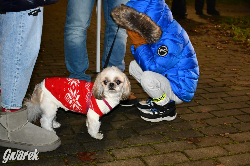 Przednia świąteczna zabawa w Bobrownikach Śląskich