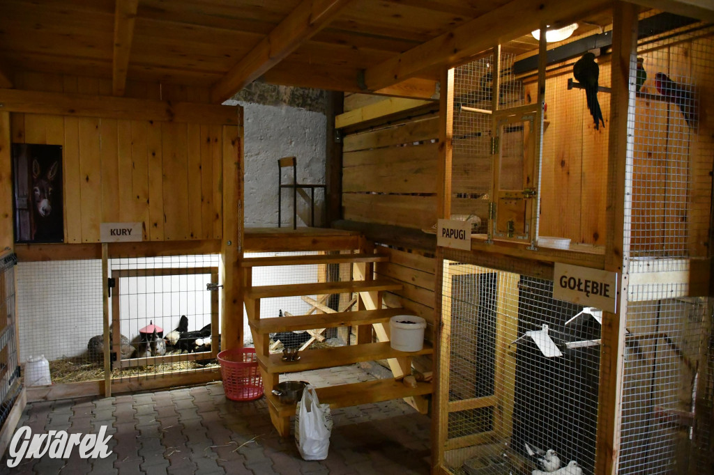 Żywa stajenka w Strzybnicy ponownie otwarta