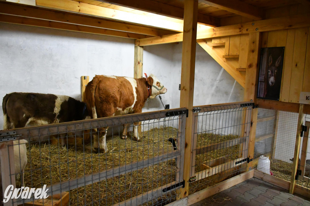 Żywa stajenka w Strzybnicy ponownie otwarta