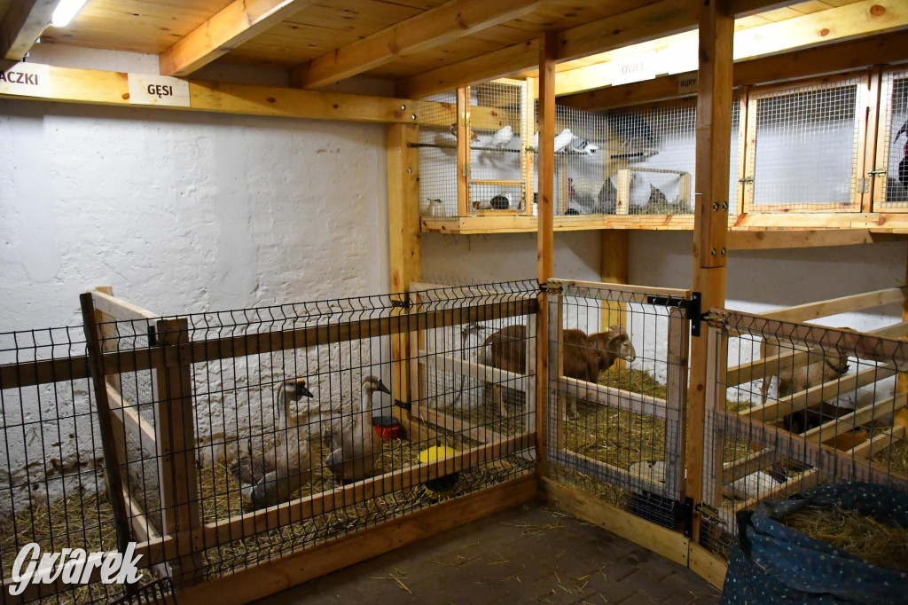 Żywa stajenka w Strzybnicy ponownie otwarta