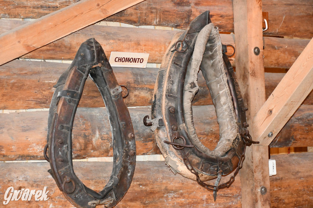 Żywa stajenka w Strzybnicy ponownie otwarta