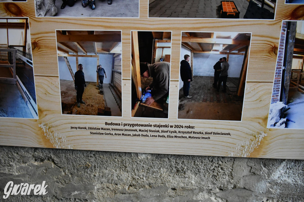 Żywa stajenka w Strzybnicy ponownie otwarta