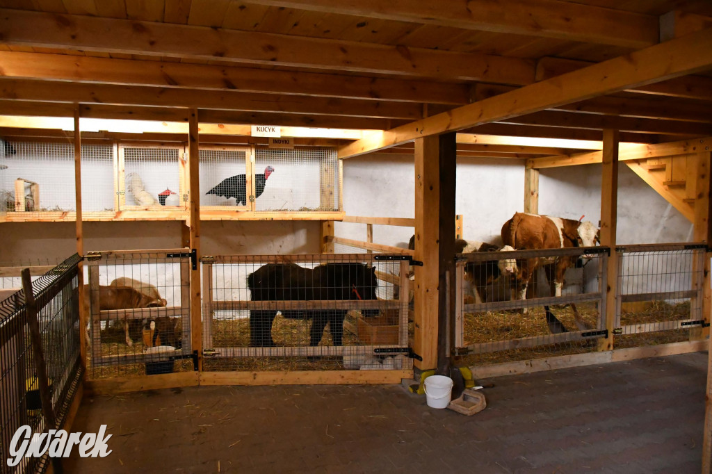 Żywa stajenka w Strzybnicy ponownie otwarta