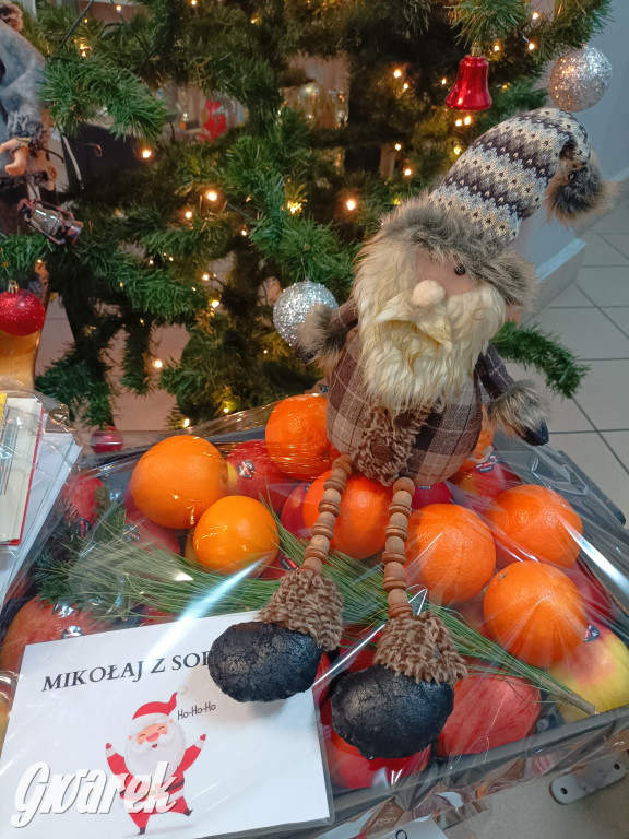 Mikołaj z Sorbony w akcji