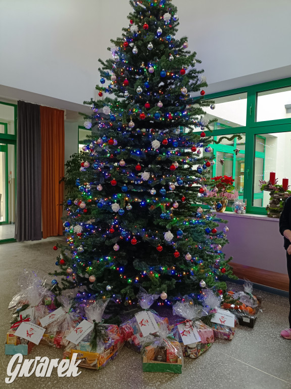 Mikołaj z Sorbony w akcji