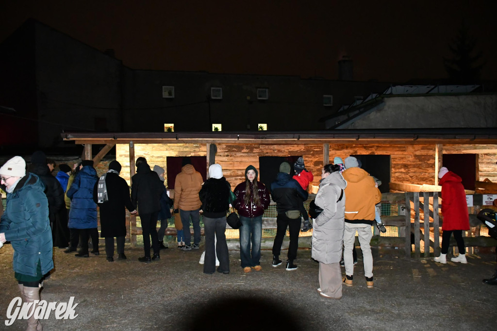 Piekarskie Betlejem przy bazylice