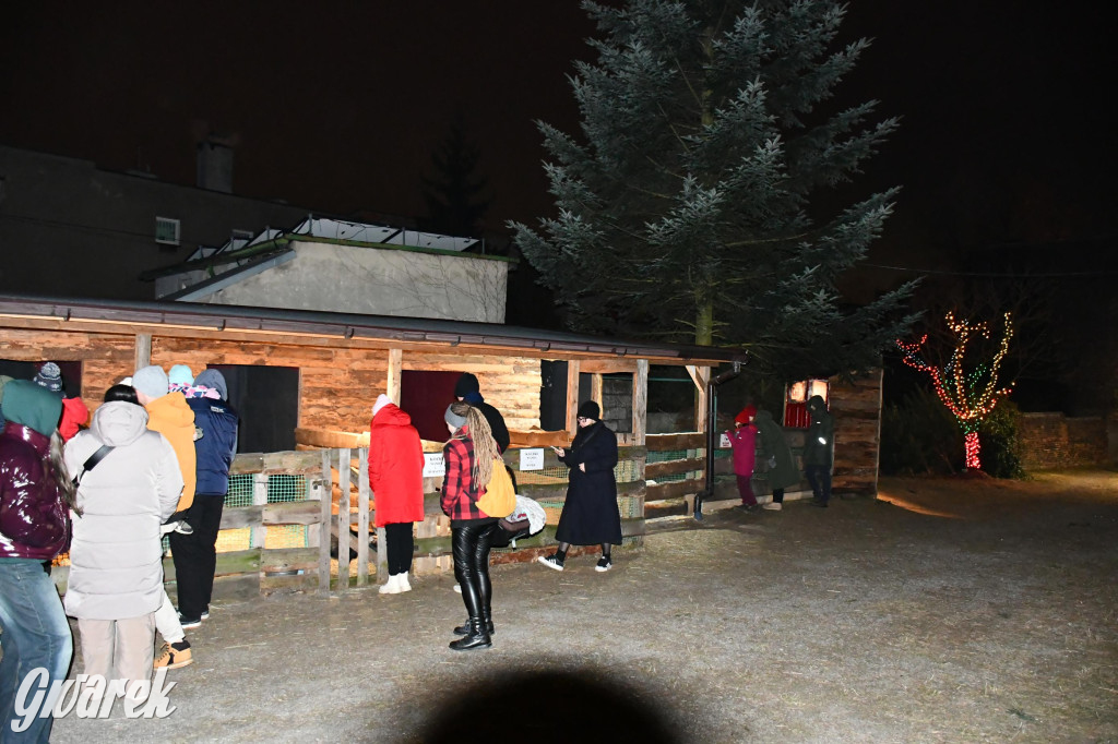 Piekarskie Betlejem przy bazylice