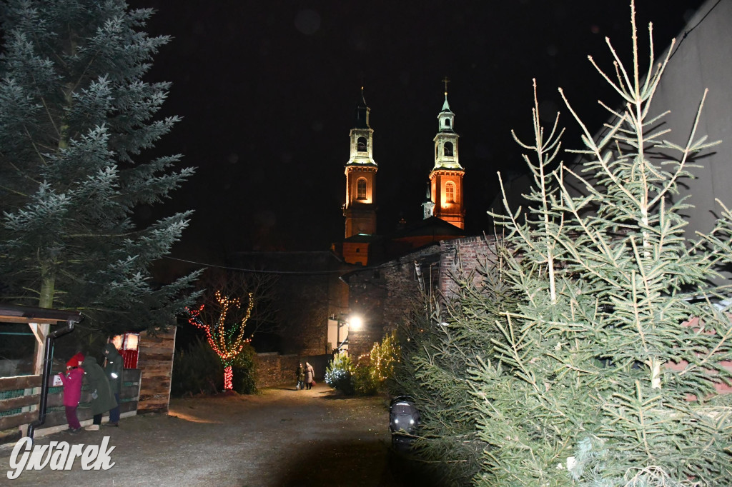 Piekarskie Betlejem przy bazylice