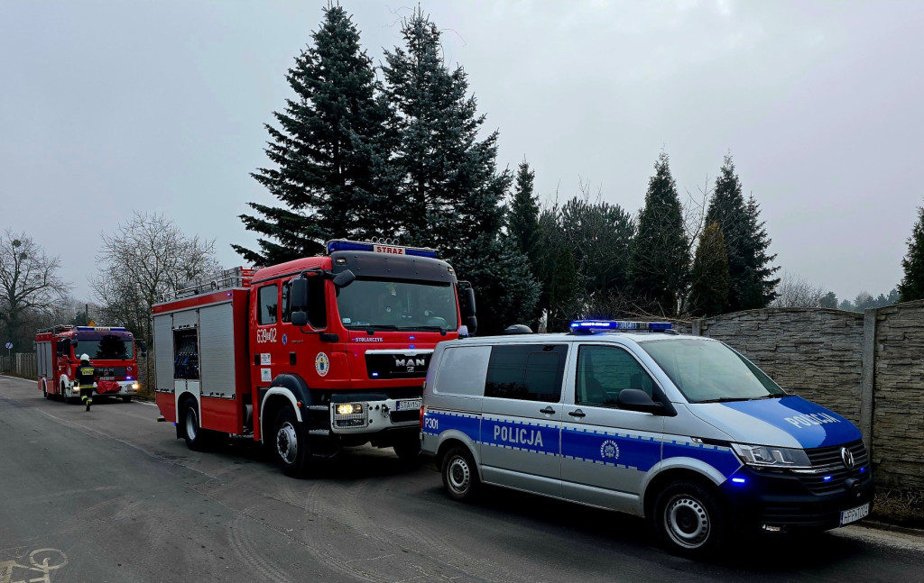 Pożar altany na ogródkach działkowych przy Opatowickiej