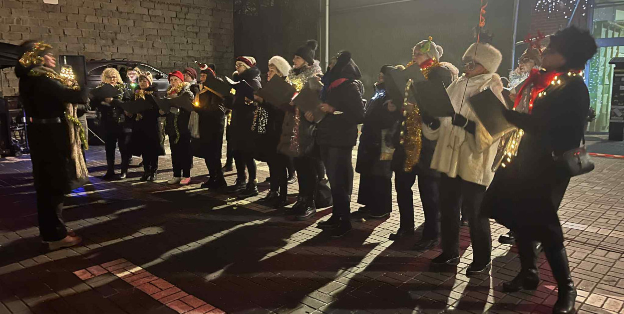 La cucaracha pod halą targową