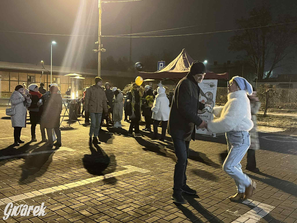 La cucaracha pod halą targową