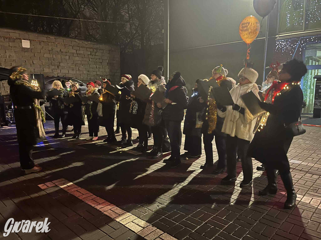 La cucaracha pod halą targową