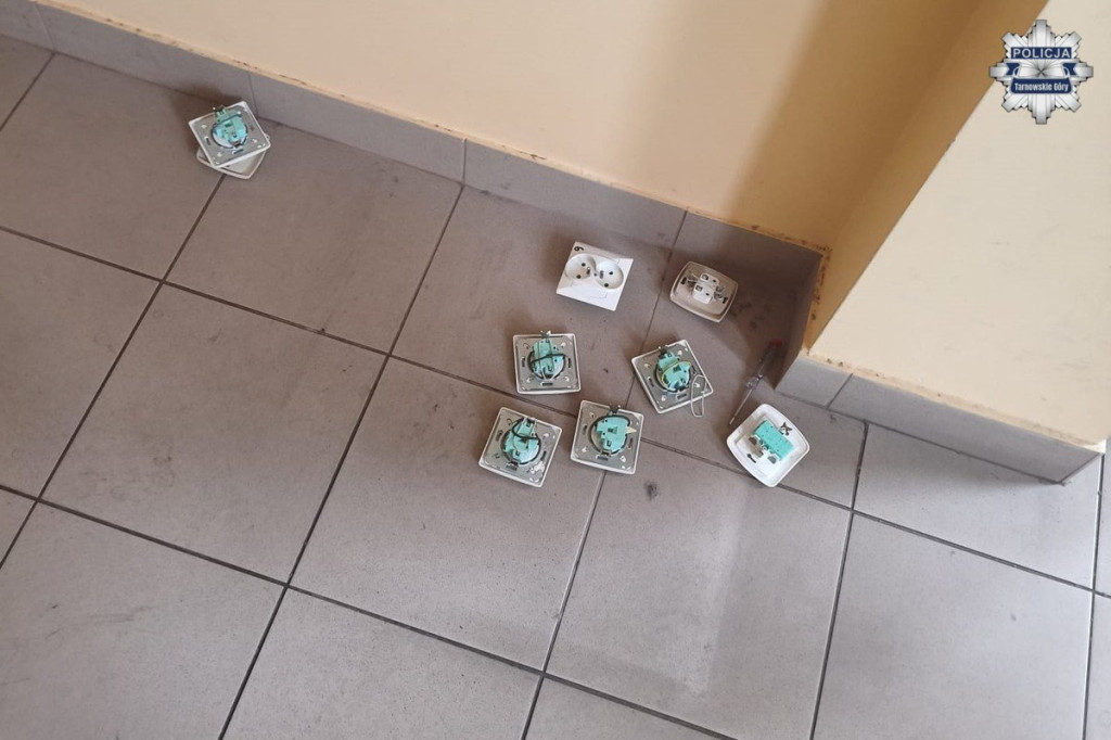 Patrole w ramach akcji TOR. Zatrzymano dwie osoby