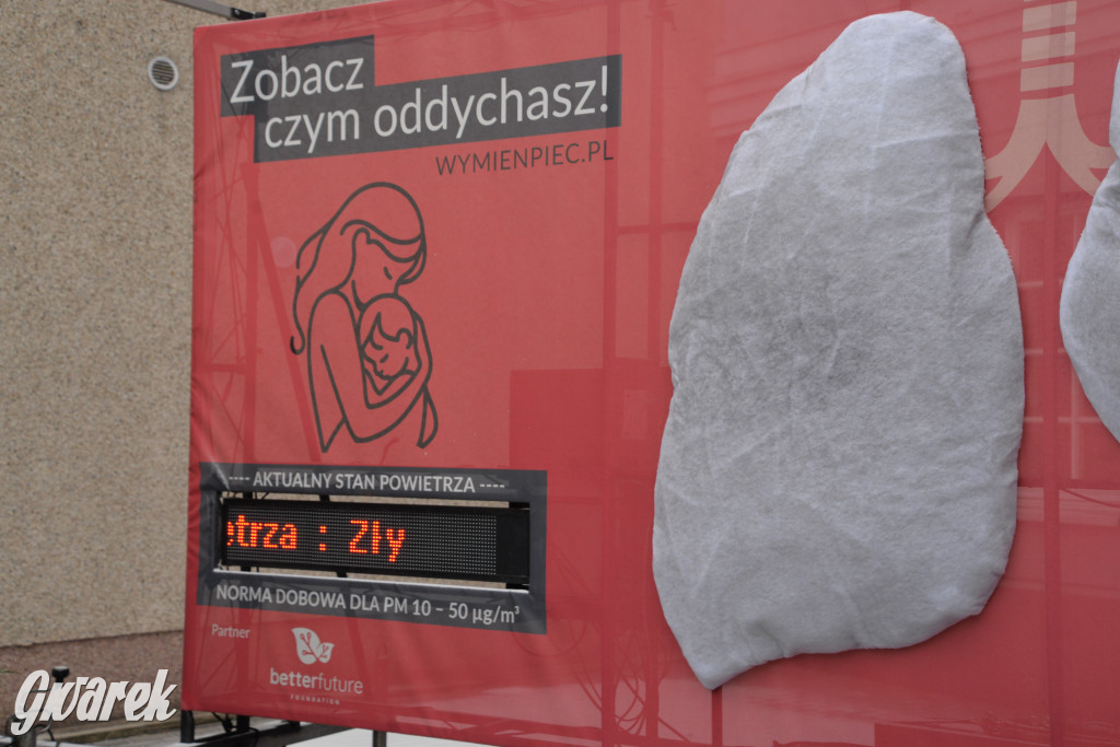 Płuca przy urzędzie. Już czyste nie są