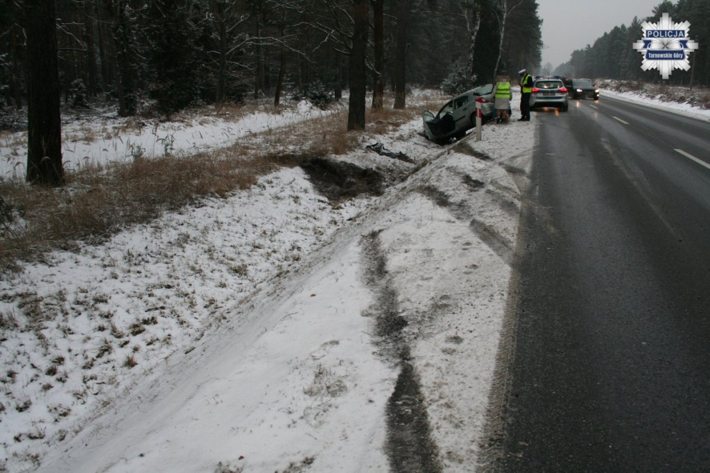 Jechała za szybko i wylądowała w rowie [FOTO]