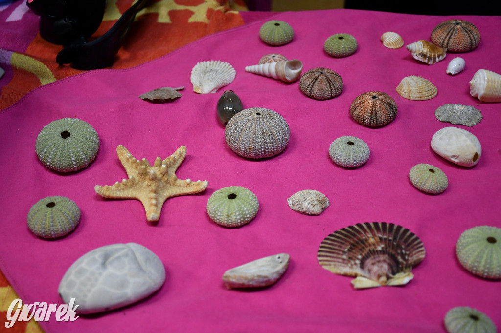 Wybuchy w Sempie. Kto nie był, niech żałuje!