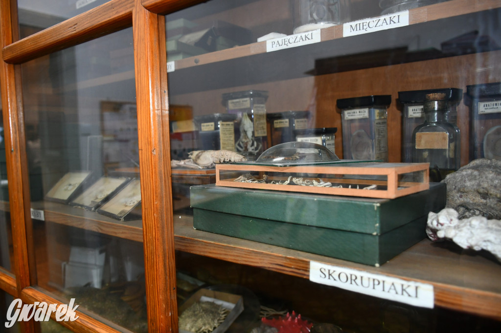 Wybuchy w Sempie. Kto nie był, niech żałuje!