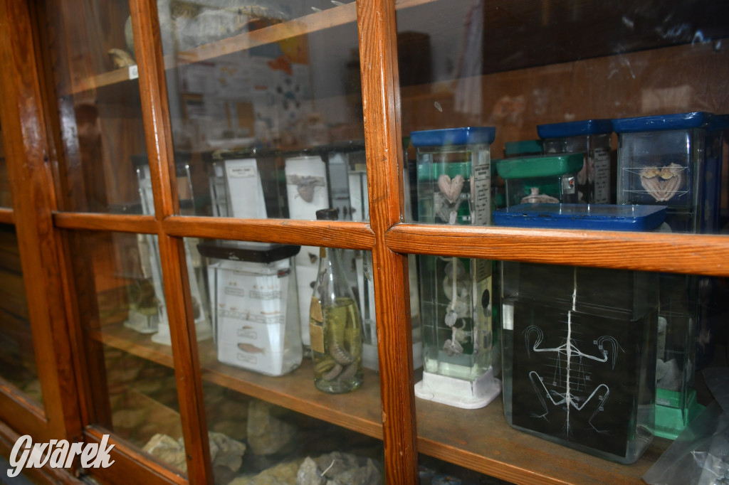 Wybuchy w Sempie. Kto nie był, niech żałuje!