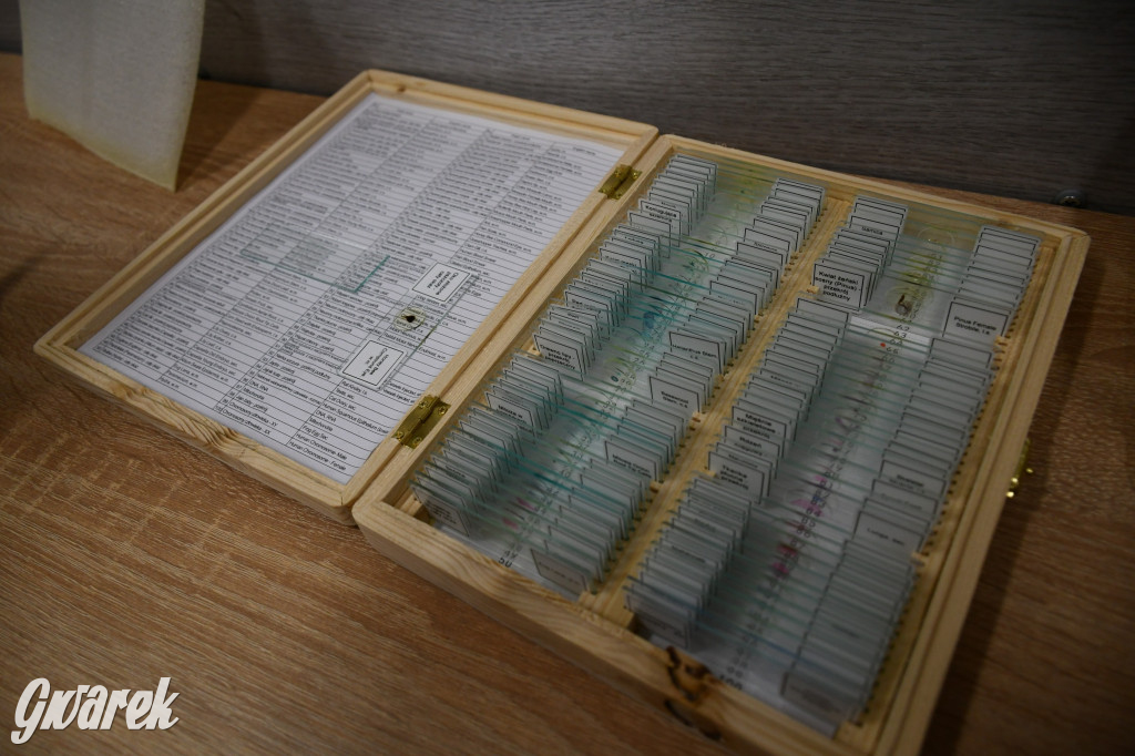 Wybuchy w Sempie. Kto nie był, niech żałuje!