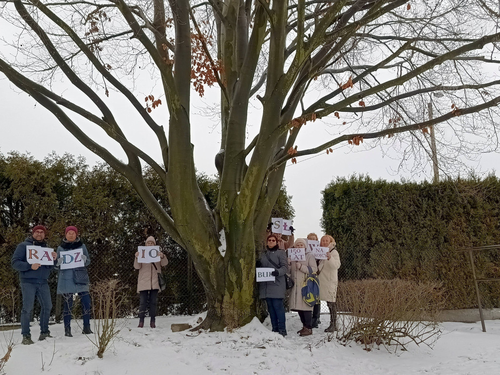 Najstarsze drzewo w mieście ma imię