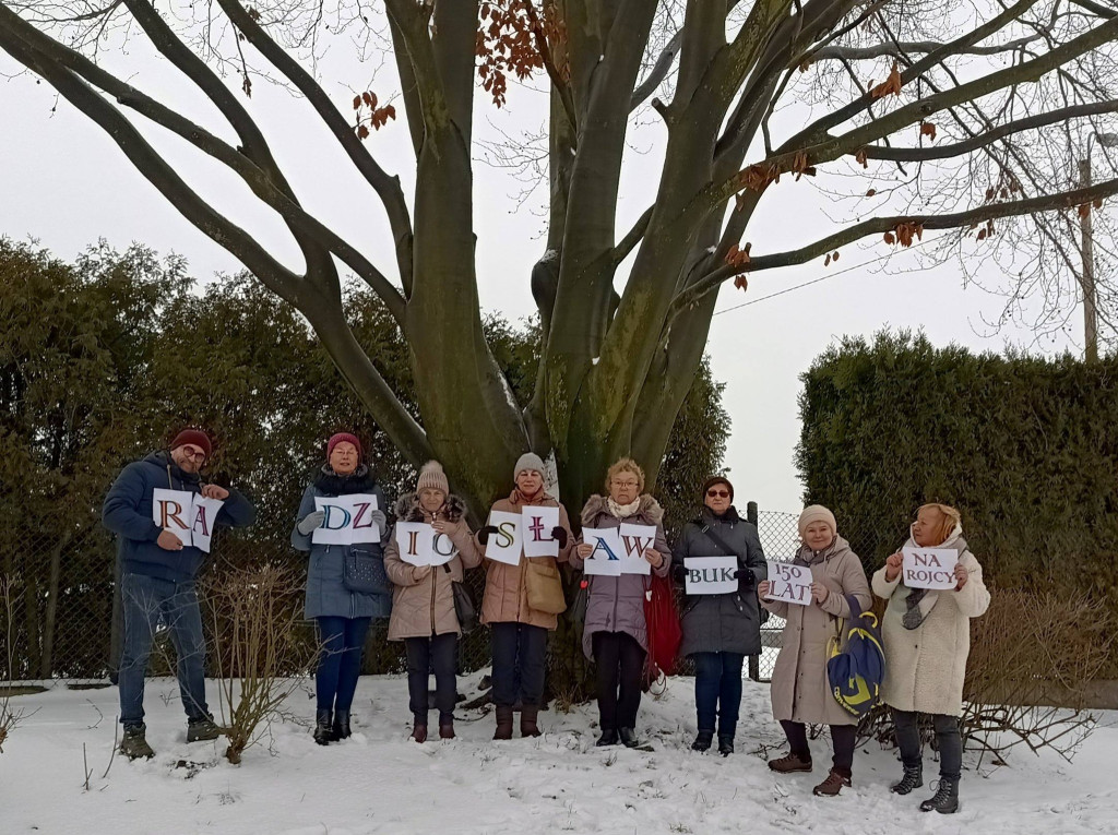 Najstarsze drzewo w mieście ma imię