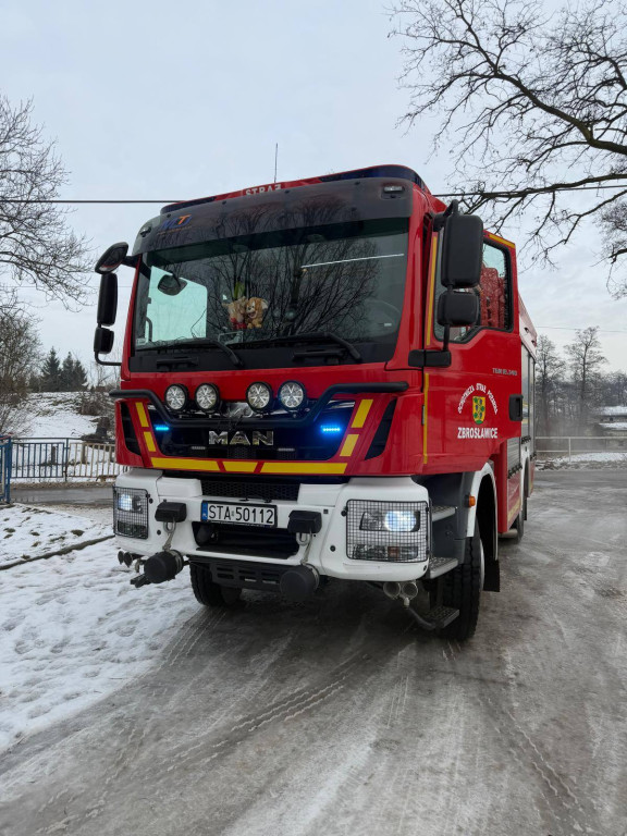 Bobry w akcji. Drzewo mogło spaść na drogę i most