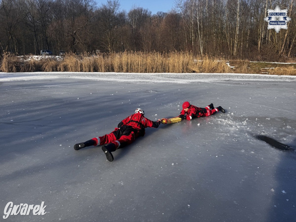 Piekary Śląskie. Wspólne ćwiczenia służb