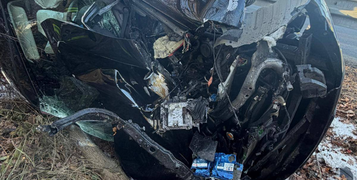 Renault uderzyło w drzewo