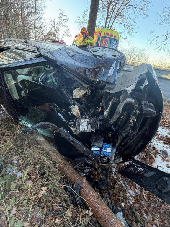 Renault uderzyło w drzewo