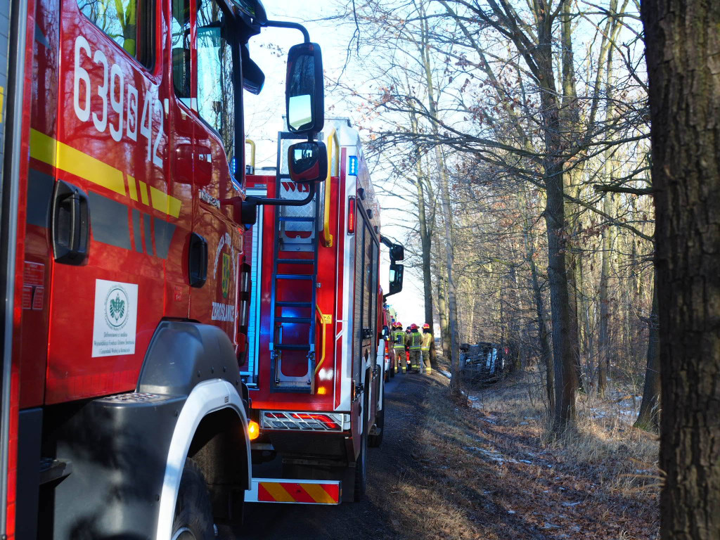 Renault uderzyło w drzewo